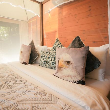 Tribe Yala - Luxury Camping Εξωτερικό φωτογραφία