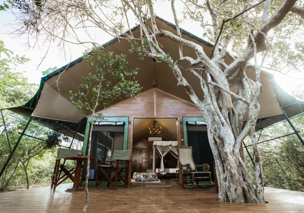 Tribe Yala - Luxury Camping Εξωτερικό φωτογραφία