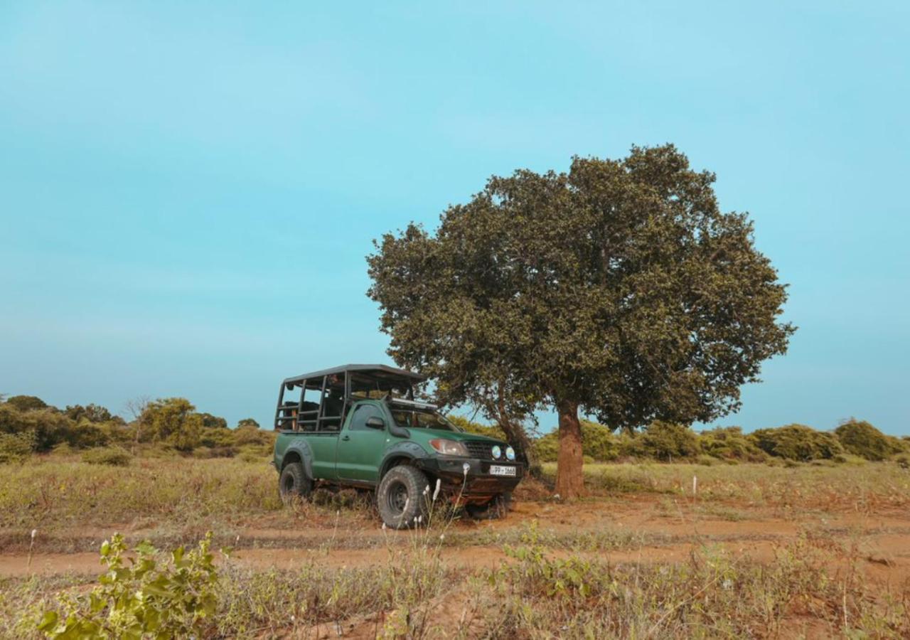 Tribe Yala - Luxury Camping Εξωτερικό φωτογραφία