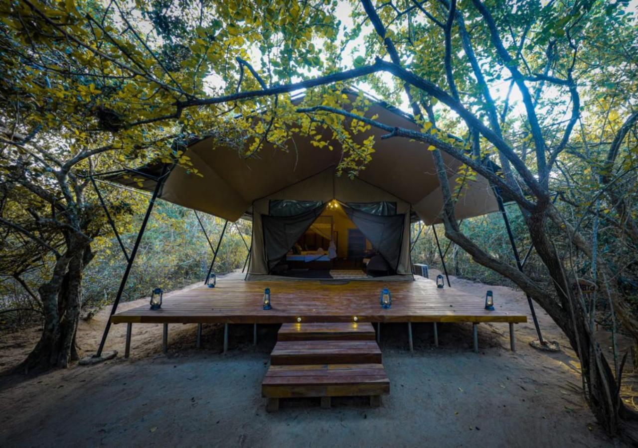 Tribe Yala - Luxury Camping Εξωτερικό φωτογραφία